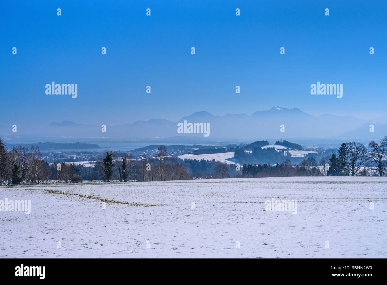 Germania, Baviera, Chiemgau, Rimsting, distretto di Dirnsberg, Ratzinger Höhe, vista sul Chiemsee verso le Alpi Chiemgau Foto Stock