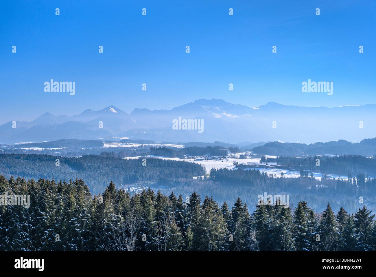 Germania, Baviera, Chiemgau, Rimsting, distretto Hitzing, Ratzinger Höhe, vista dalla torre di osservazione verso le Alpi Chiemgau Foto Stock