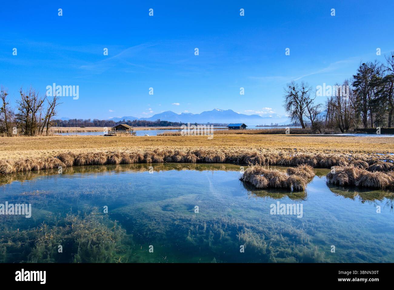 Germania, Baviera, Chiemgau, Rimsting, distretto di Guggenbichl, vista sul Chiemsee verso le Alpi Chiemgau Foto Stock