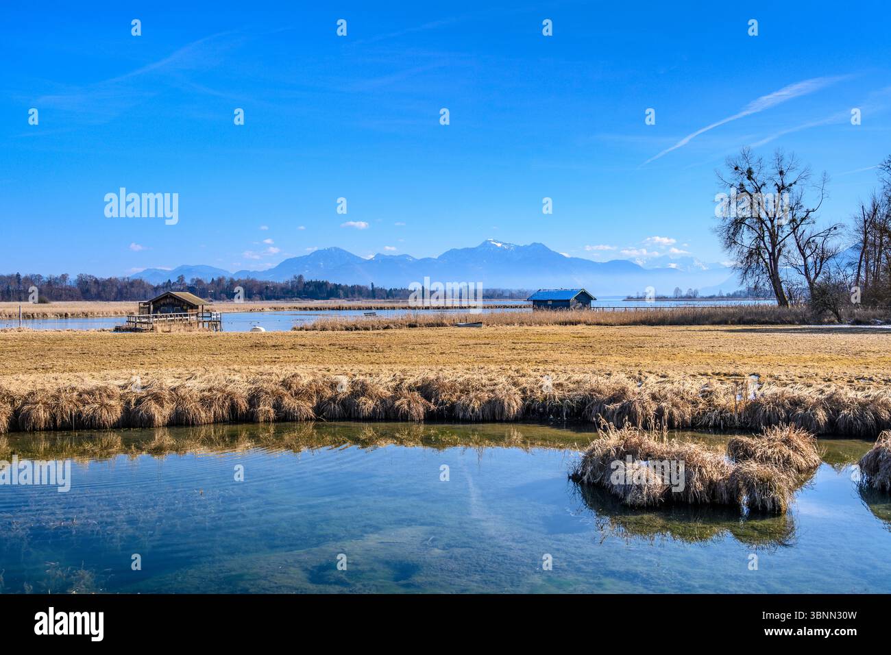 Germania, Baviera, Chiemgau, Rimsting, distretto di Guggenbichl, vista sul Chiemsee verso le Alpi Chiemgau Foto Stock