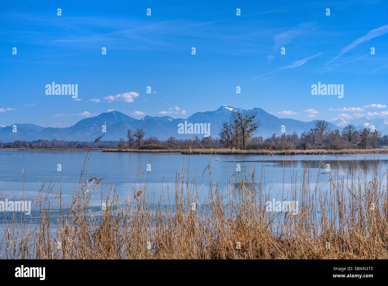 Germania, Baviera, Chiemgau, Rimsting, distretto di Schafwaschen, vista sul Chiemsee verso le Alpi Chiemgau Foto Stock