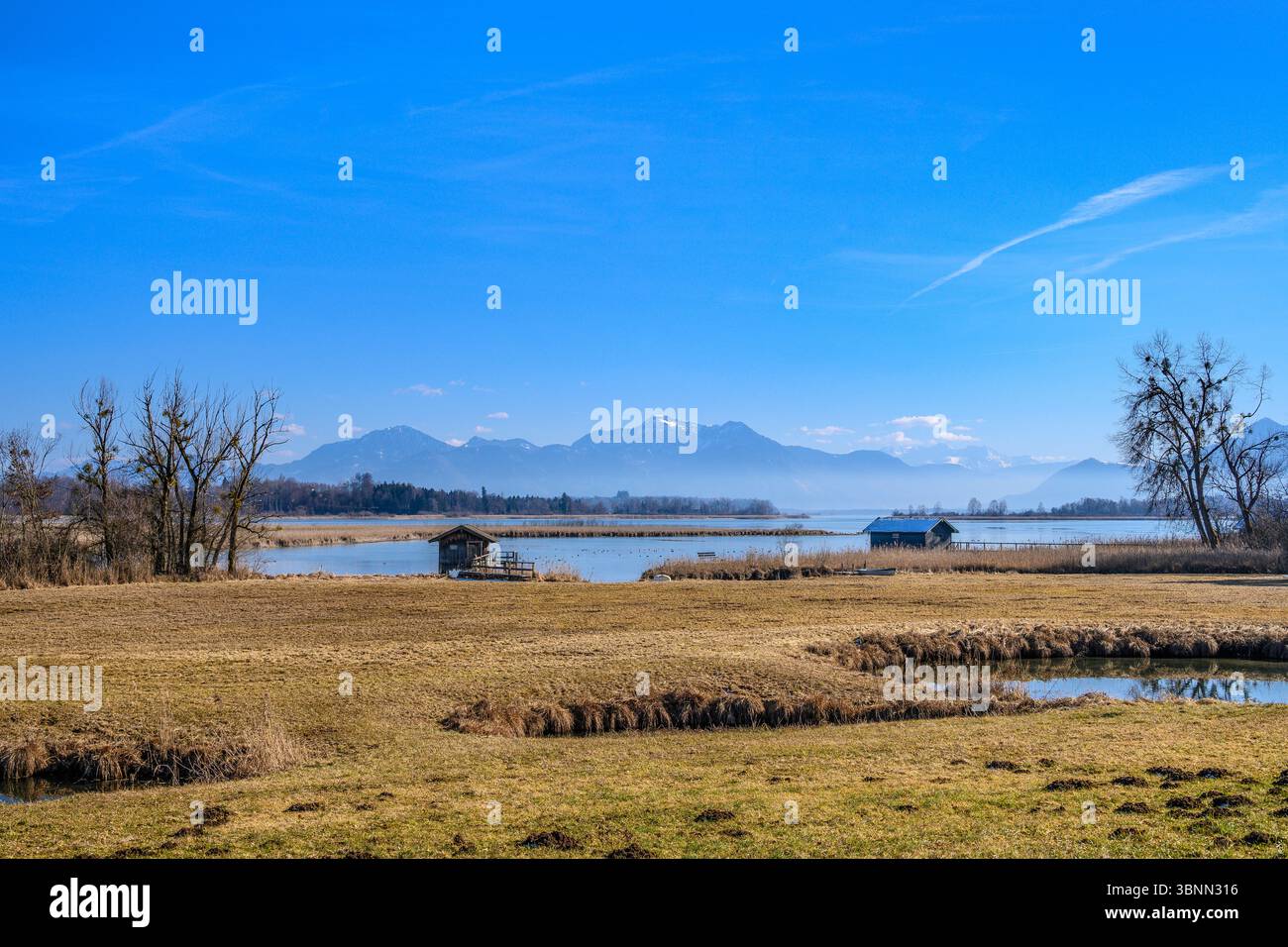 Germania, Baviera, Chiemgau, Rimsting, distretto di Guggenbichl, vista sul Chiemsee verso le Alpi Chiemgau Foto Stock