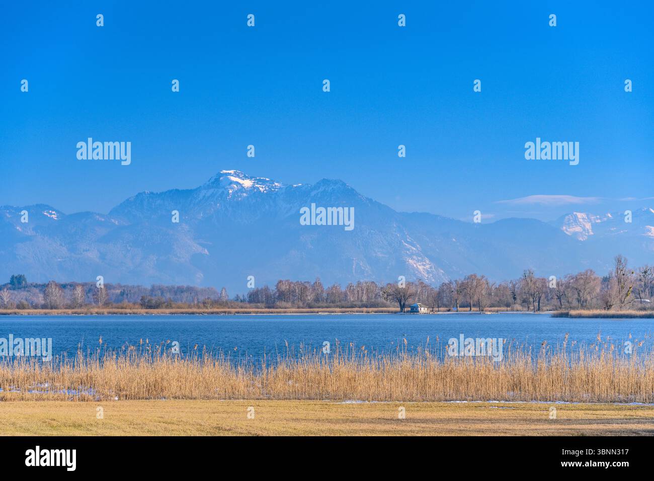 Germania, Baviera, Chiemgau, Rimsting, distretto di Schafwaschen, vista sul Chiemsee verso le Alpi Chiemgau Foto Stock