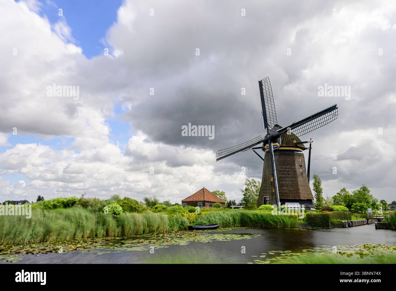 Europa, Paesi Bassi, mulino a vento Foto Stock