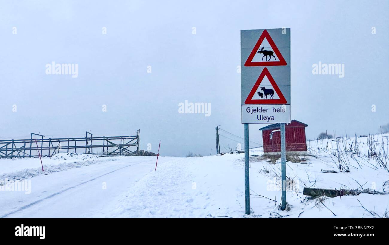 Europa, Norvegia, fiordo di Lyngen, Havnnes, inverno Foto Stock