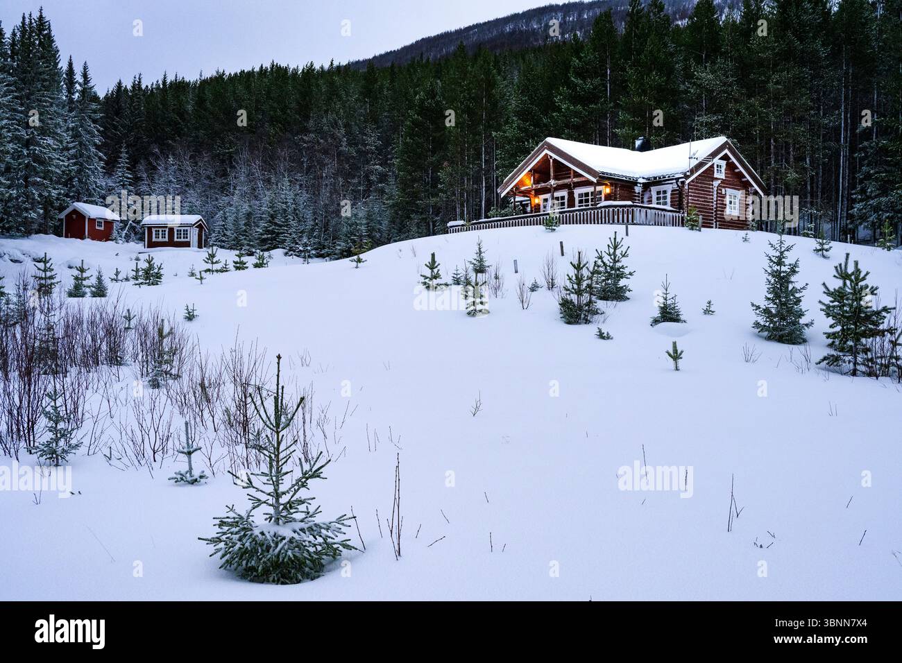 Europa, Norvegia, fiordo di Lyngen, Havnnes, inverno Foto Stock