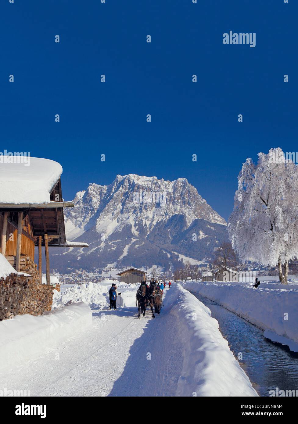Bacino dell'Ehrwald, slitta trainata da cavalli con Zugspitze, Tirolo Foto Stock
