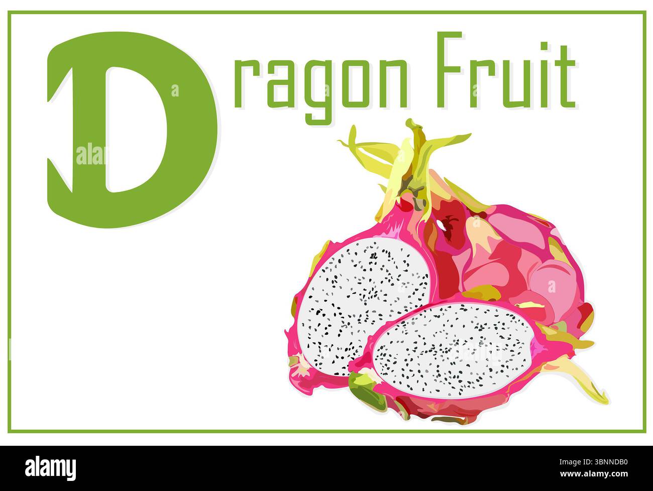 Carta alfabetica per bambini con lettera D e Dragon Fruit. Foto Stock