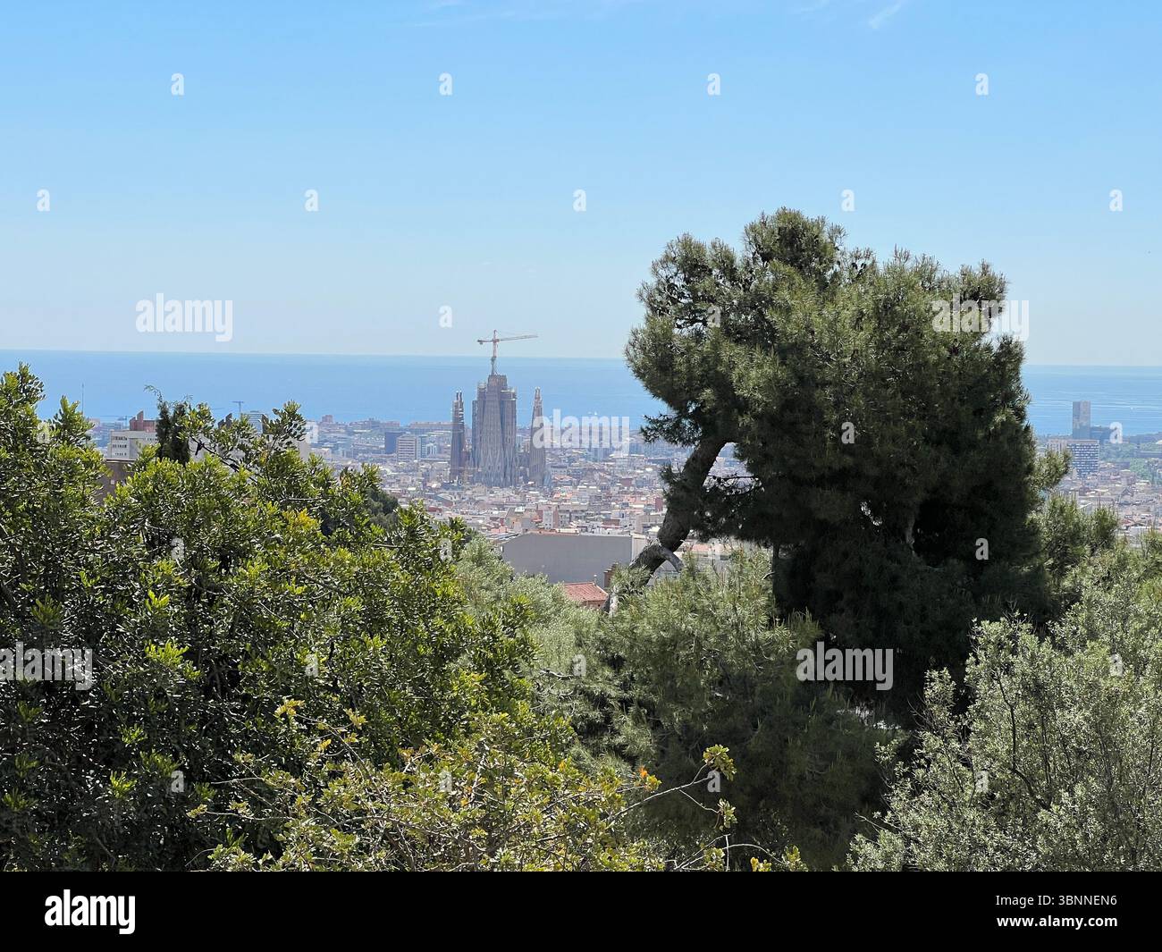 Splendida vista panoramica della città di Barcellona con la Sagrada Familia in vista in una giornata di sole. - Immagine stock catturata con smartphone