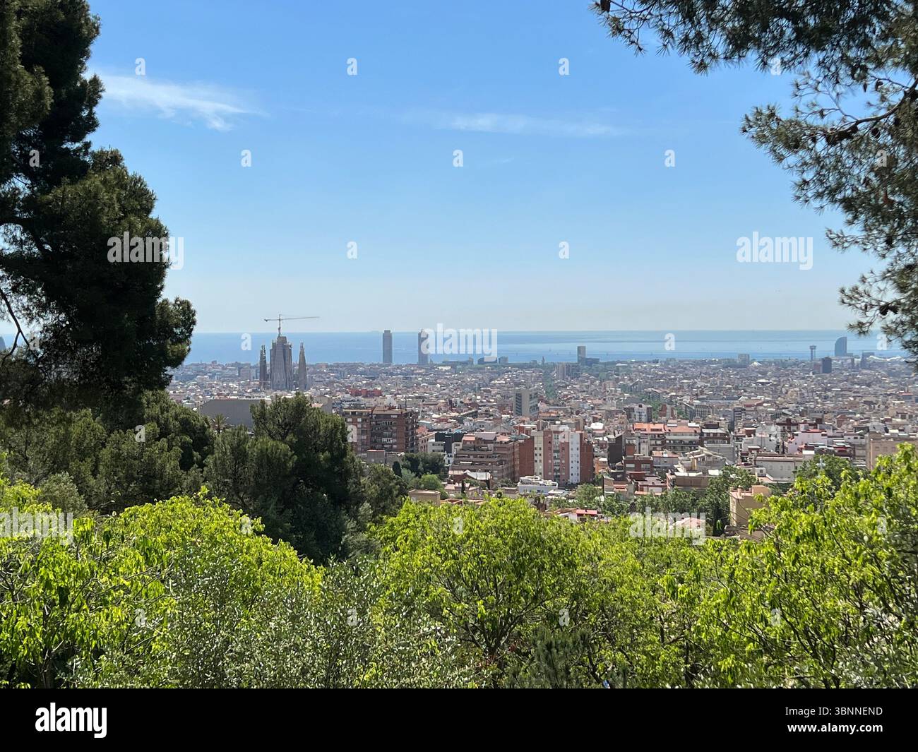 Splendida vista panoramica della città di Barcellona con la Sagrada Familia in vista in una giornata di sole. - Immagine stock catturata con smartphone