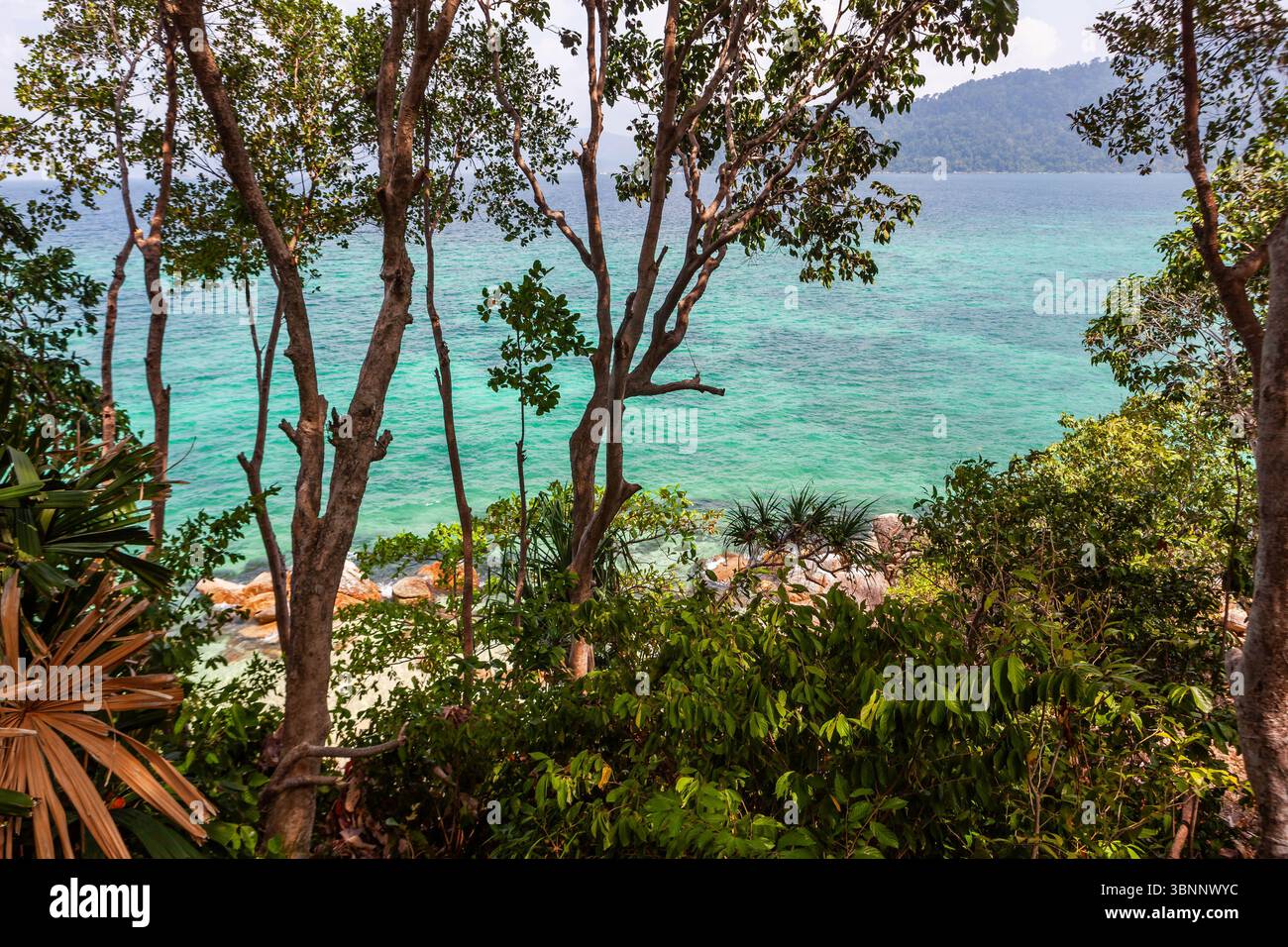 Koh Lipe, Thailandia. Vista turchese del Mare delle Andamane attraverso gli alberi. Paesaggio tropicale. Foto Stock