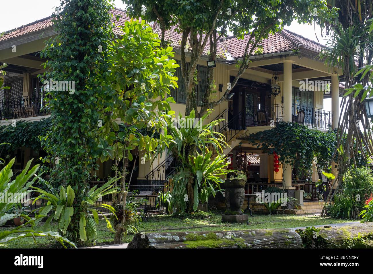 Una splendida villa è annidata tra una fitta vegetazione tropicale, che irradia un'aura di tranquillità e splendore. Il paesaggio presenta un invitante outdoo Foto Stock
