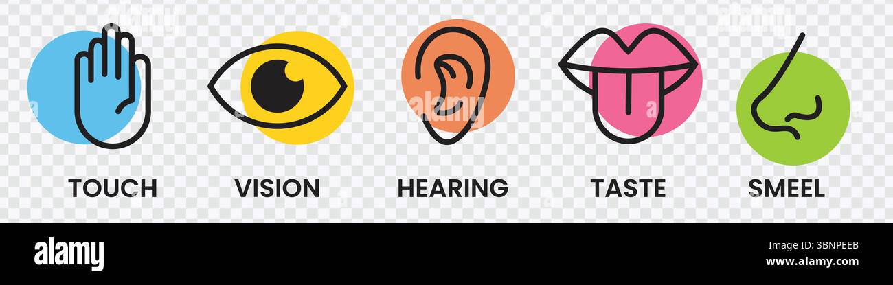 "Icone dei cinque sensi - tocco, visione, udito, gusto, odori" Illustrazione Vettoriale