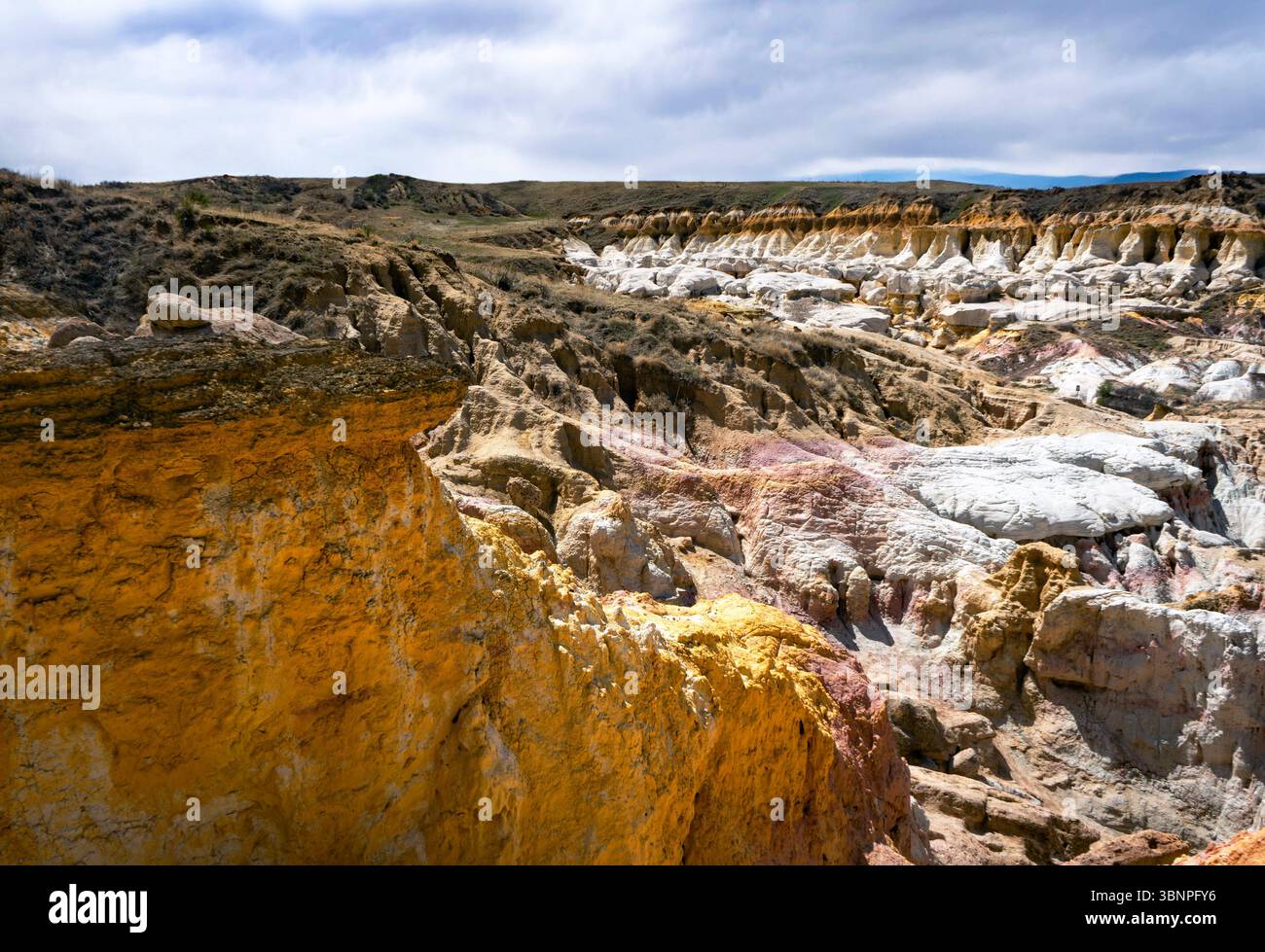 Gli hoodoo bianchi intemprati si innalzano dal fondo del canyon sotto un cielo azzurro vivido presso le miniere dipinte, circondati da scogliere color oro. Foto Stock