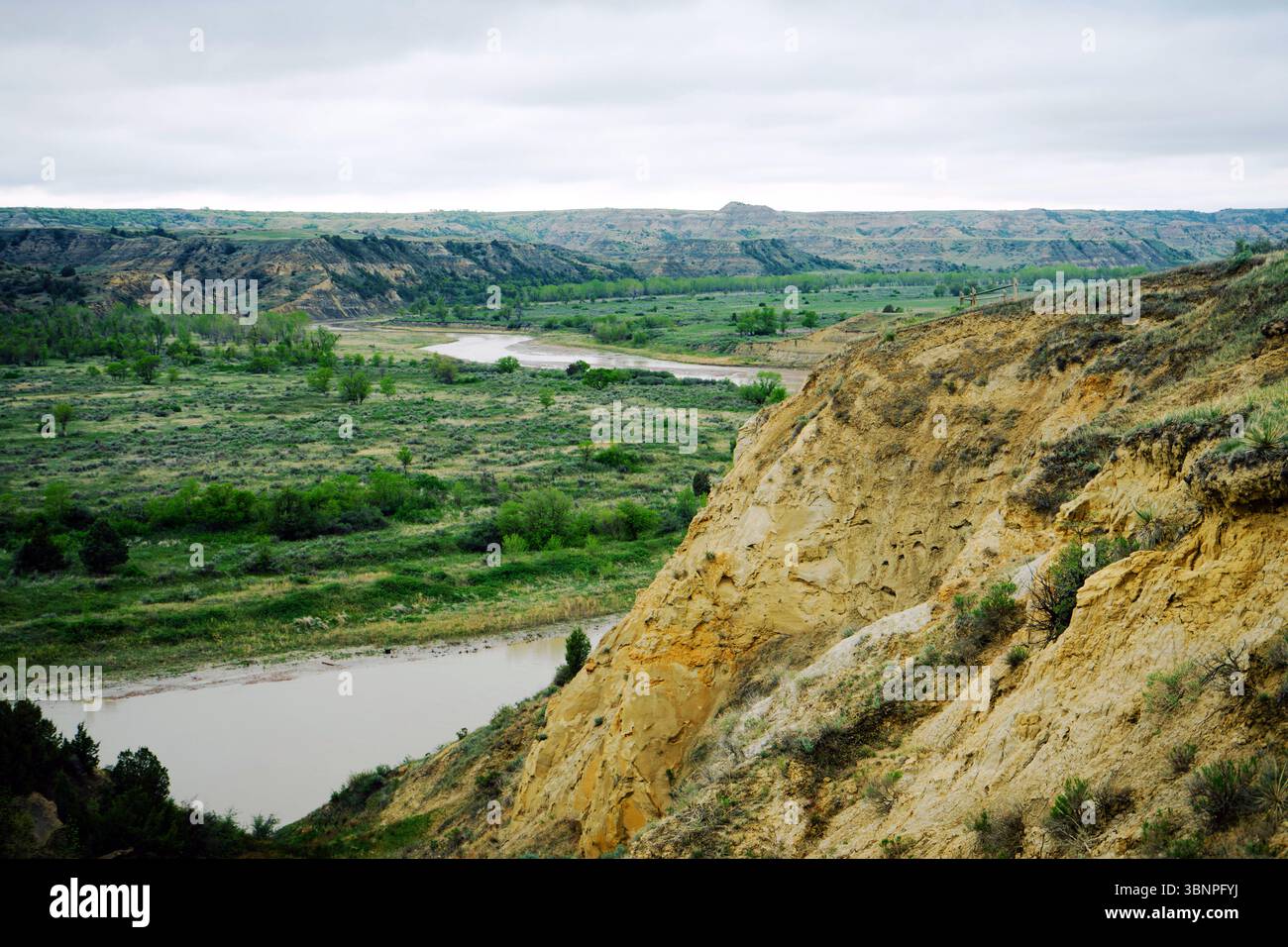 Il Little Missouri River si snoda attraverso verdi pianure e scogliere scolpite nel Theodore Roosevelt National Park. Il cielo coperto ammorbidisce la scena. Foto Stock