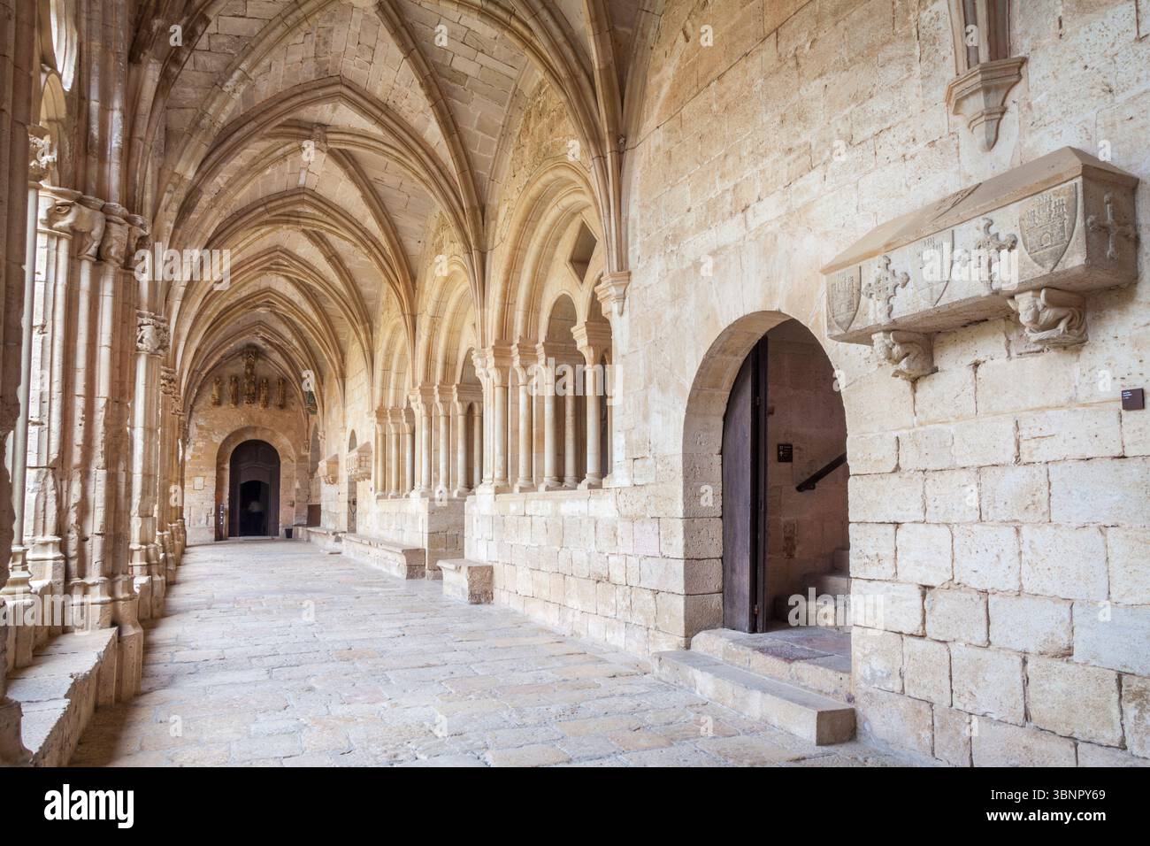 Monastero di Santes Creus - Reial Monasteri de Santes Creus -, Ruta del Cister, Santes Creus, Alt Camp, Tarragona, Spagna Foto Stock