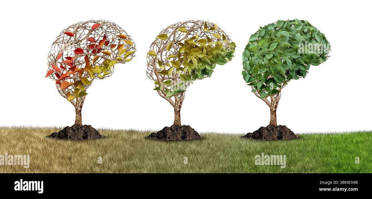 Recupero cerebrale e trattamento della demenza o concetto di ripristino della perdita di memoria e miglioramento cognitivo o ringiovanimento neurologico come guarigione mentale Foto Stock