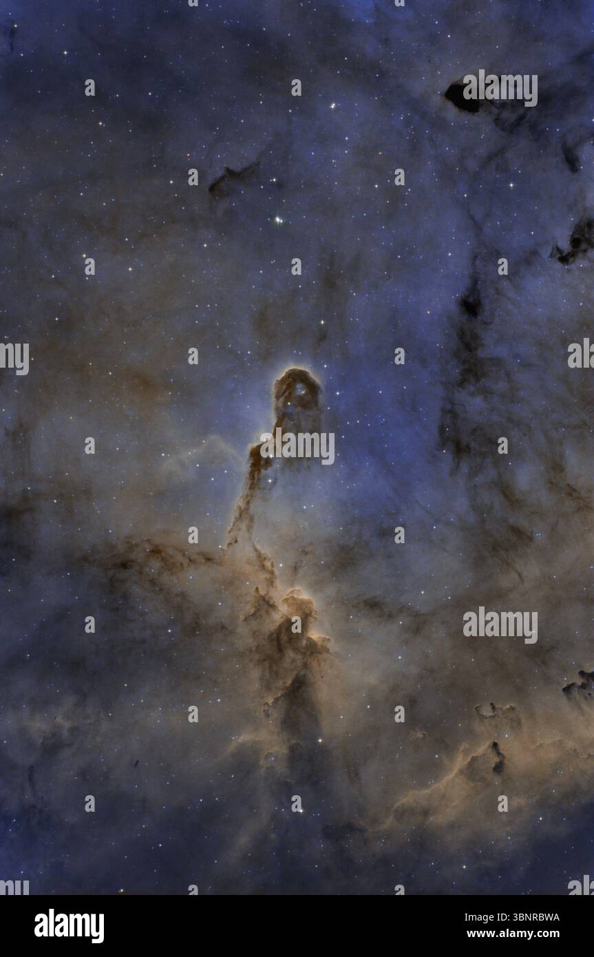 La nebulosa del tronco dell'Elefante nell'IC 1396, una densa regione di gas e polvere in Cefeo, catturata a banda stretta con dettagli e contrasto vividi. Foto Stock