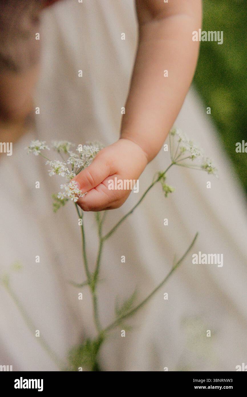 Bambino in abito bianco che tiene fiori selvatici in un campo erboso Foto Stock