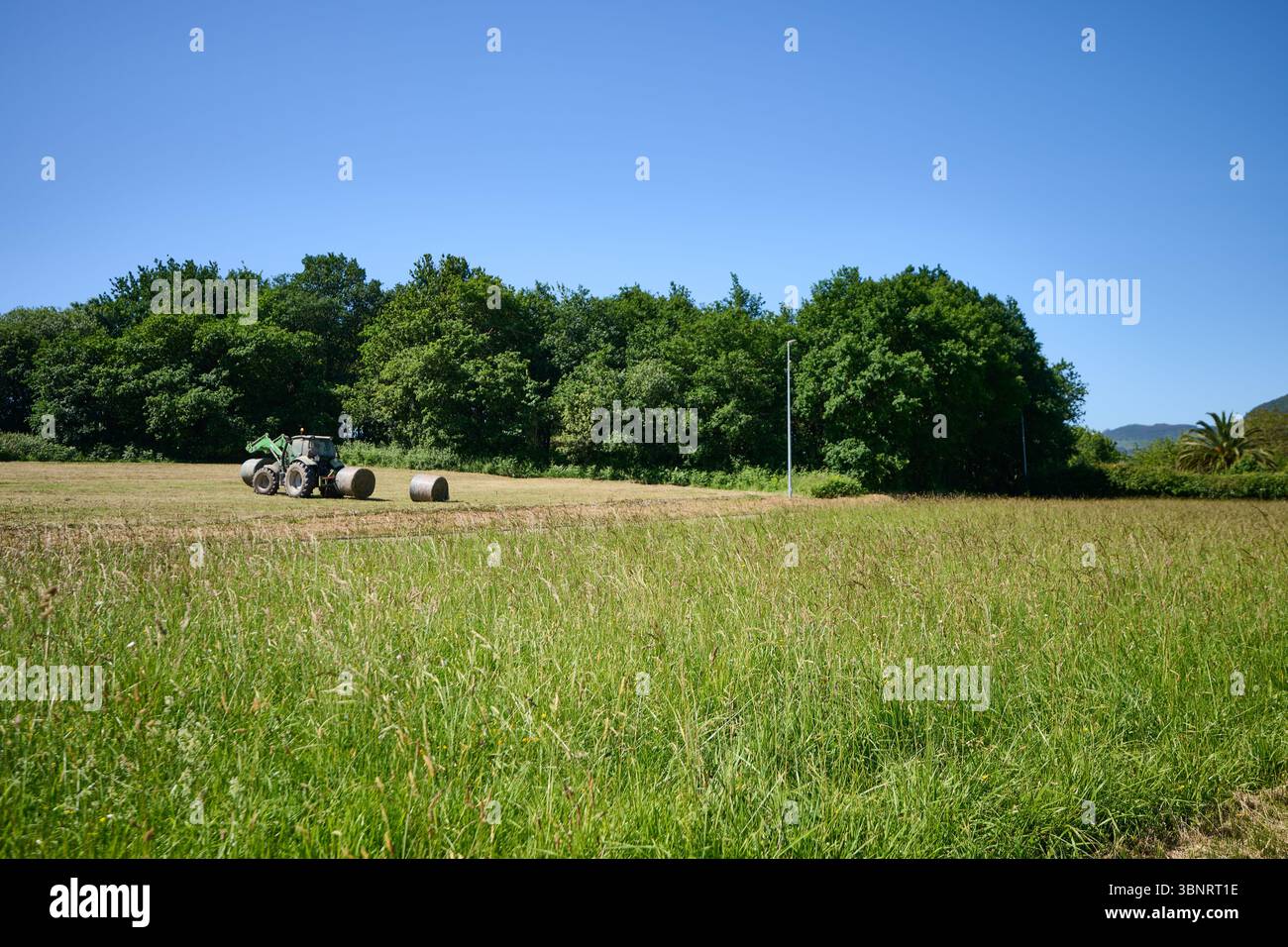 Trattore in funzione in un campo con balle di fieno, circondato da alberi lussureggianti e cielo azzurro, che mostra l'attività agricola in un paesaggio rurale Foto Stock