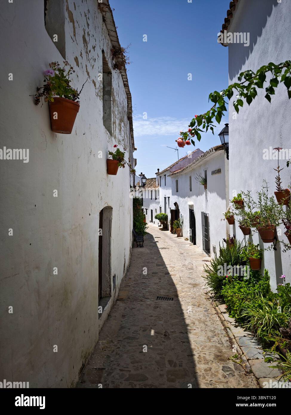 Strade bianche con vasi di fiori a Castellar de la Frontera, Cadice, Spagna Foto Stock