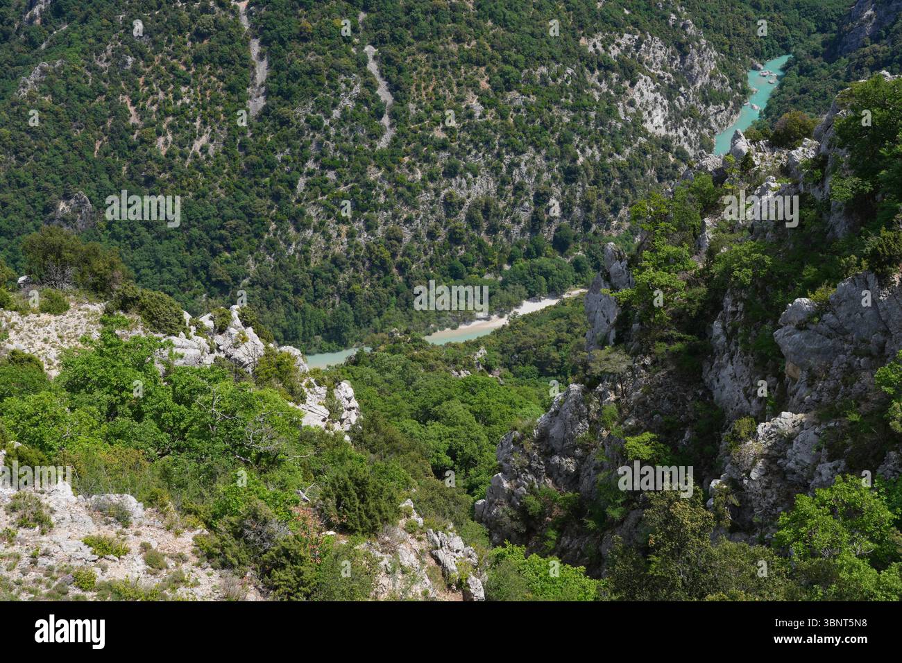 Splendida vista sul fiume Verdon nella zona delle Gorges du Verdon, un canyon, in Francia Foto Stock