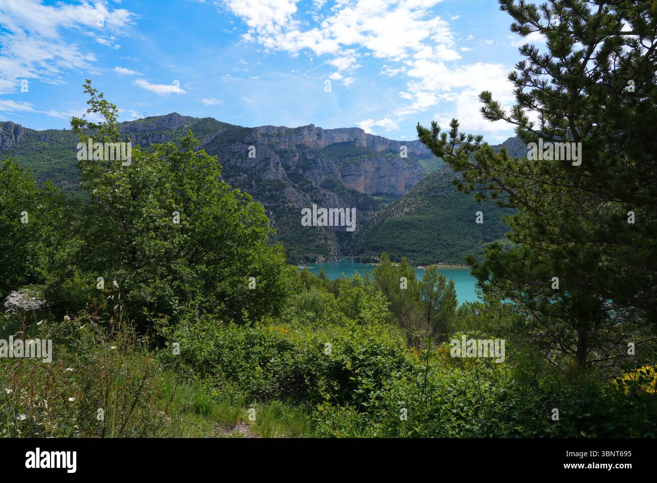 Vista del Lac de Sainte Croix, lago di Ste Croix, un lago artificiale con acque turchesi che bagnano il fiume Verdon nella zona delle Gorges du Verdon a Fran Foto Stock