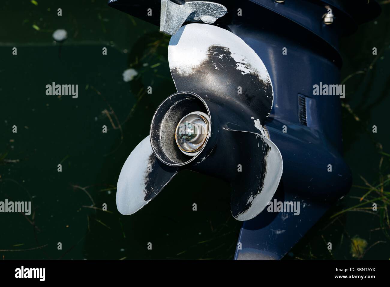 Primo piano dell'elica in acqua con alghe. Foto Stock