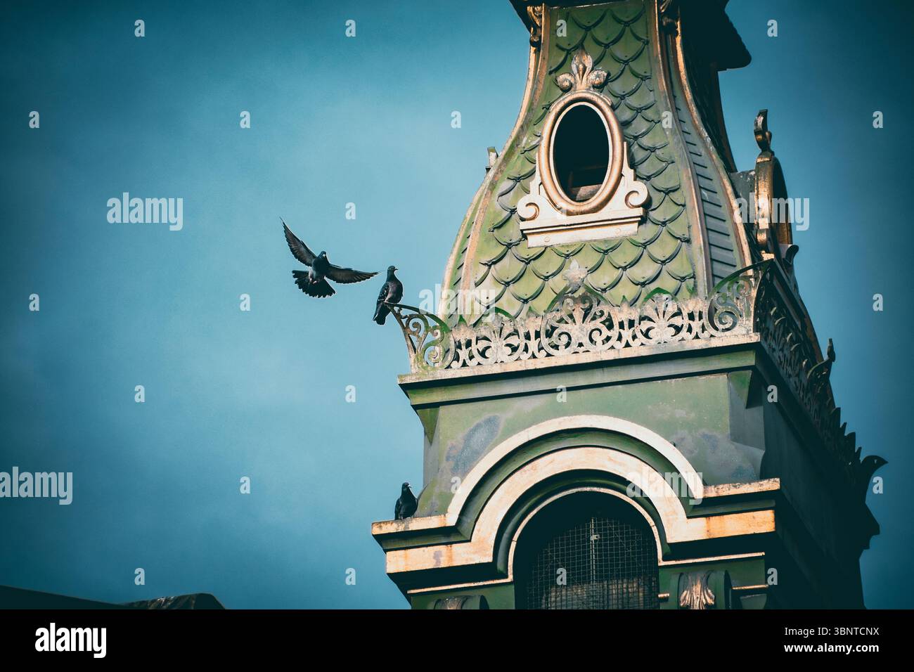 Torre dorata con piccioni arroccati e che volano contro il cielo blu Foto Stock