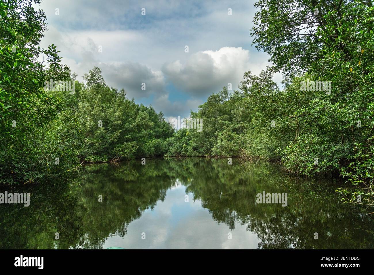 Uno dei fiumi di Sao Tome, ancora acque che creano uno specchio come il riflesso del cielo e degli alberi Foto Stock