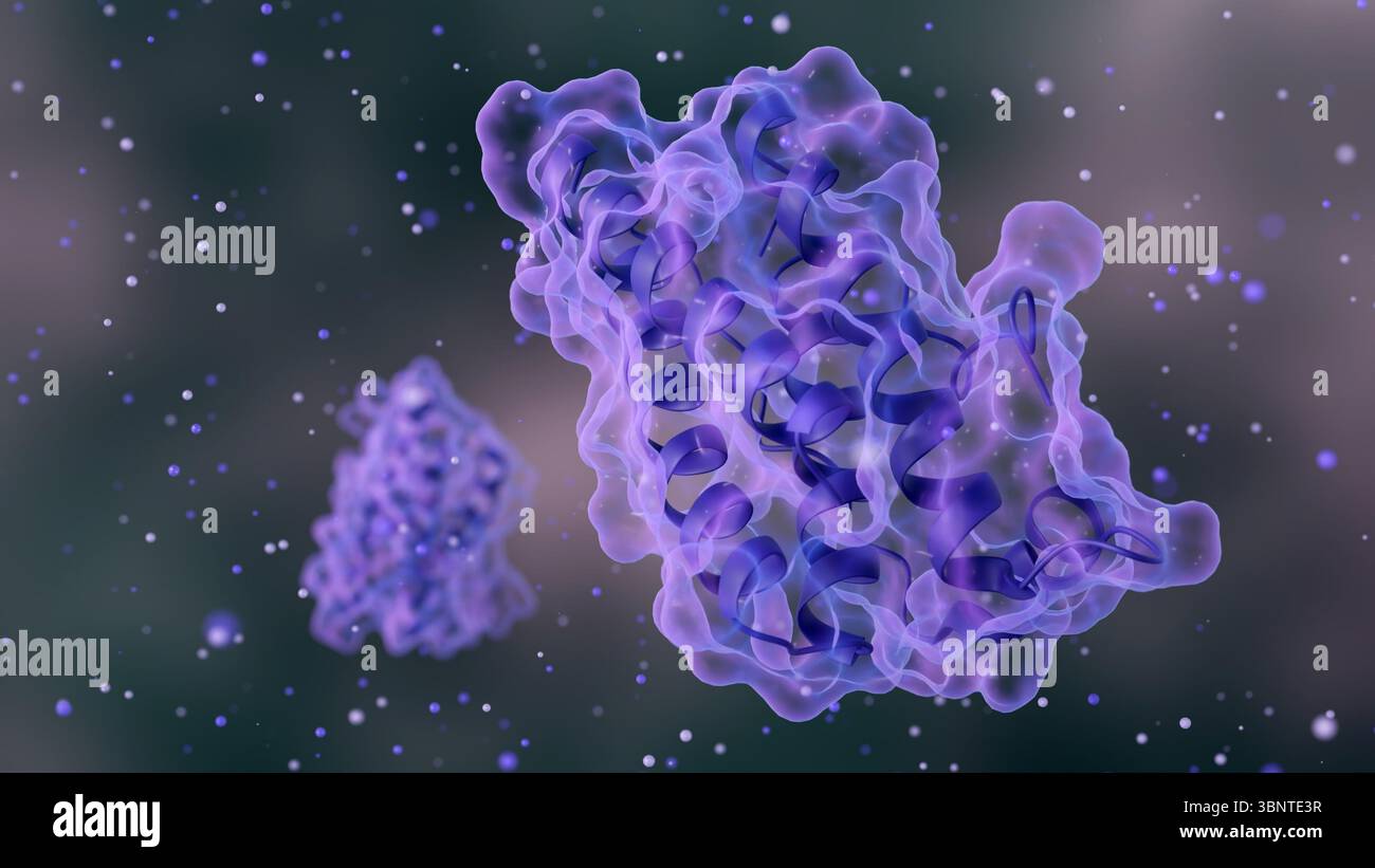 Rendering 3D di strutture molecolari complesse della proteina della leptina a livello microscopico. Foto Stock