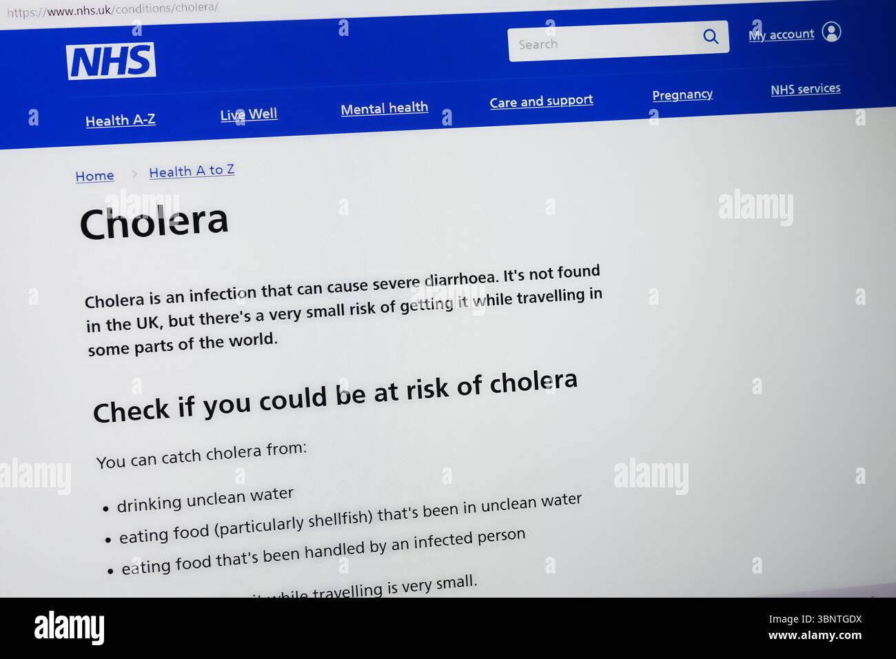 Il sito del NHS con informazioni sul colera Foto Stock