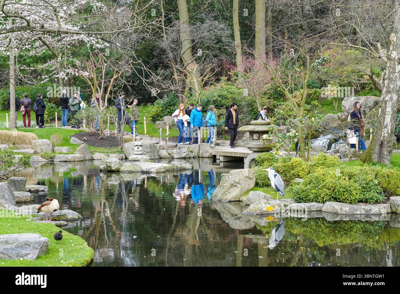 Persone che visitano la cascata del Giardino di Kyoto in Holland Park, Londra, Inghilterra Regno Unito Regno Unito Foto Stock