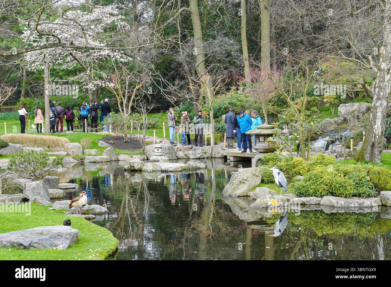 Persone che visitano la cascata del Giardino di Kyoto in Holland Park, Londra, Inghilterra Regno Unito Regno Unito Foto Stock