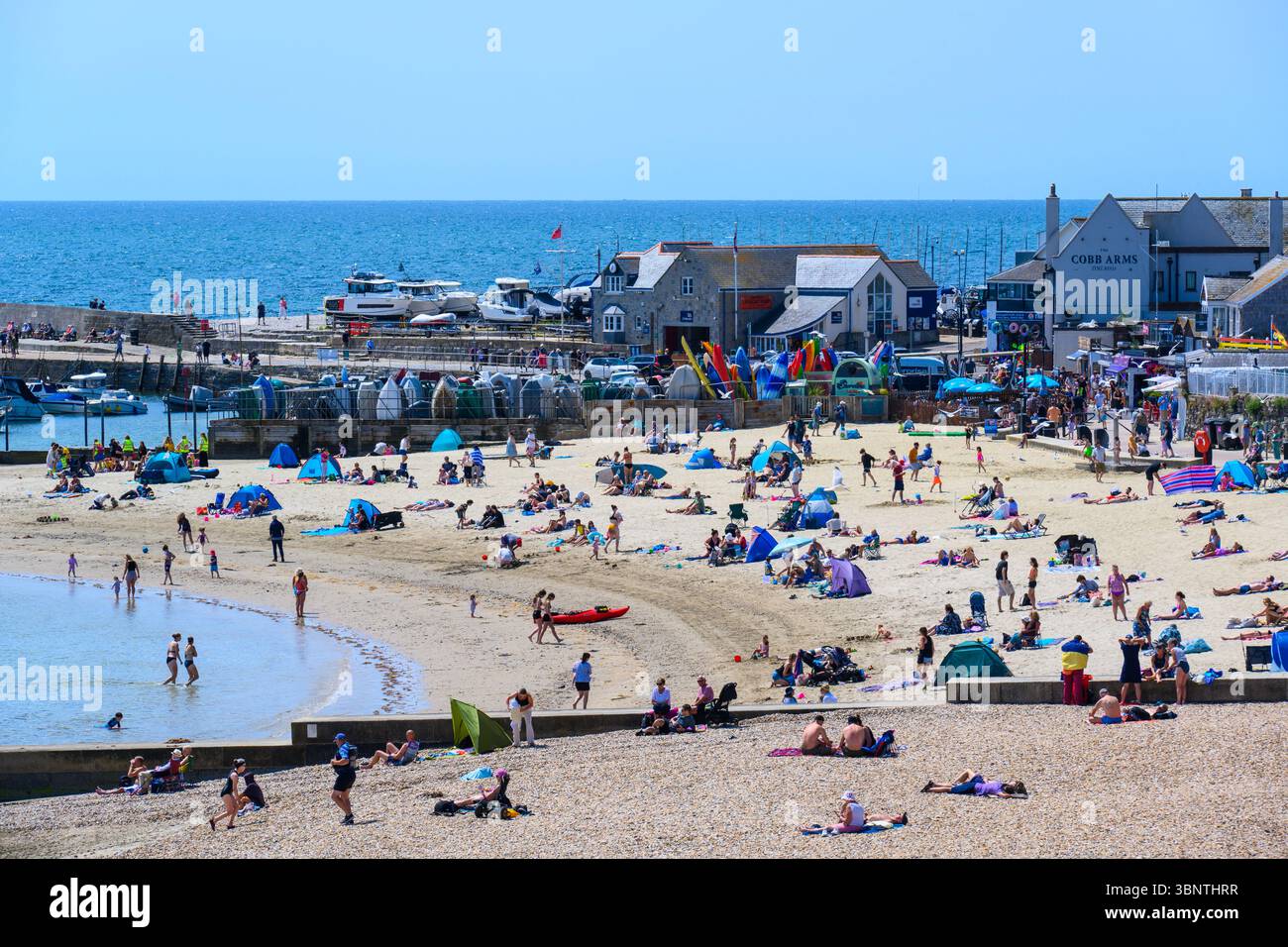 Lyme Regis, Dorset, Regno Unito. 4 luglio 2025. Meteo nel Regno Unito. I visitatori e la gente del posto si immergono nel caldo sole nella località balneare di Lyme Regis il venerdì. Le persone hanno sfruttato al meglio il tempo meraviglioso prima delle condizioni fredde e umide previste nel fine settimana. Il clima mite estivo tornerà la prossima settimana. Crediti: Celia McMahon/Alamy Live News Foto Stock