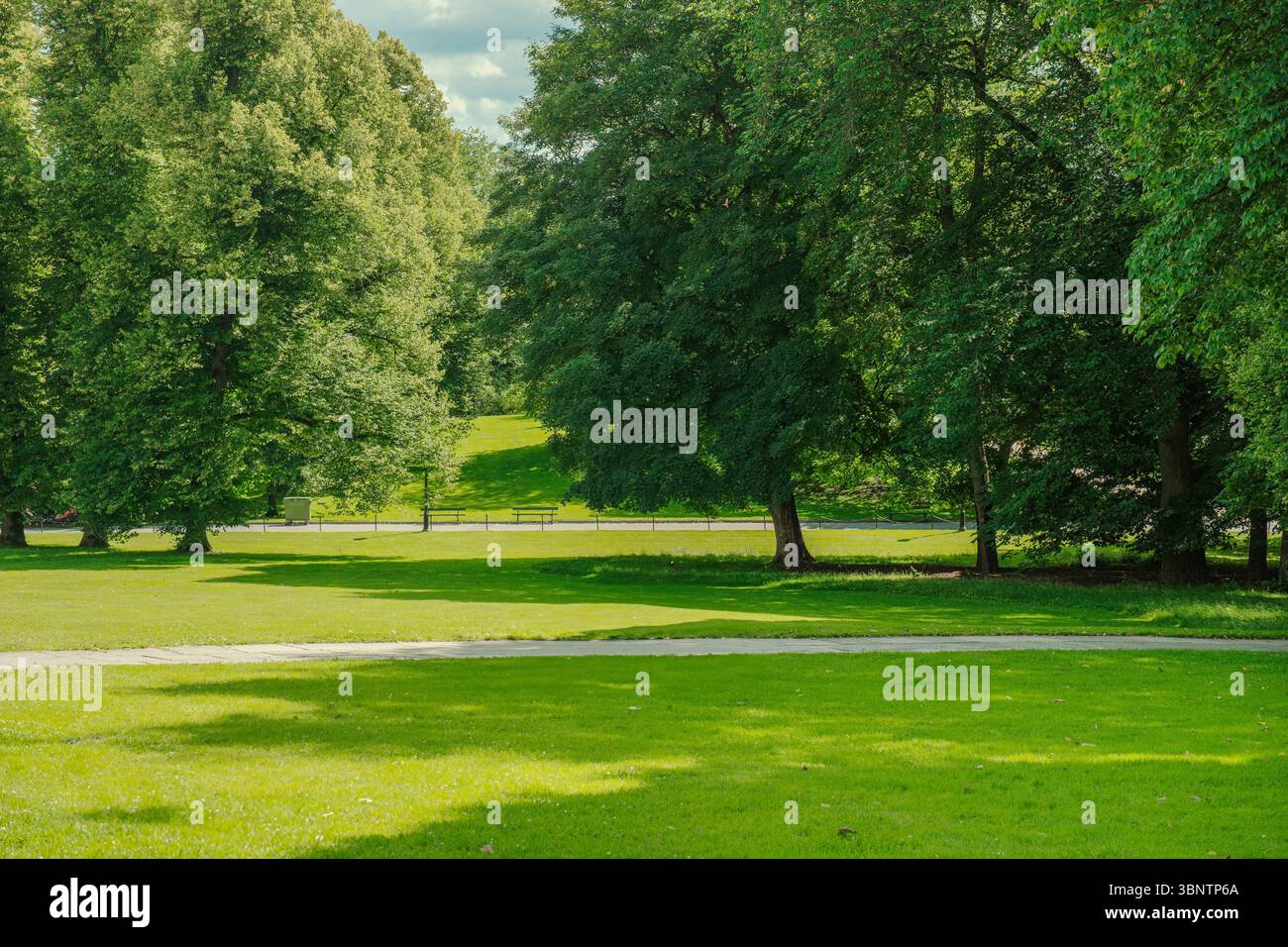 Slottsparken Oslo Norvegia, lussureggiante parco urbano verde giugno, fitte baldacchino della foresta, fresco fogliame estivo, tranquillo sfondo naturale della città, paesaggi luminosi Foto Stock