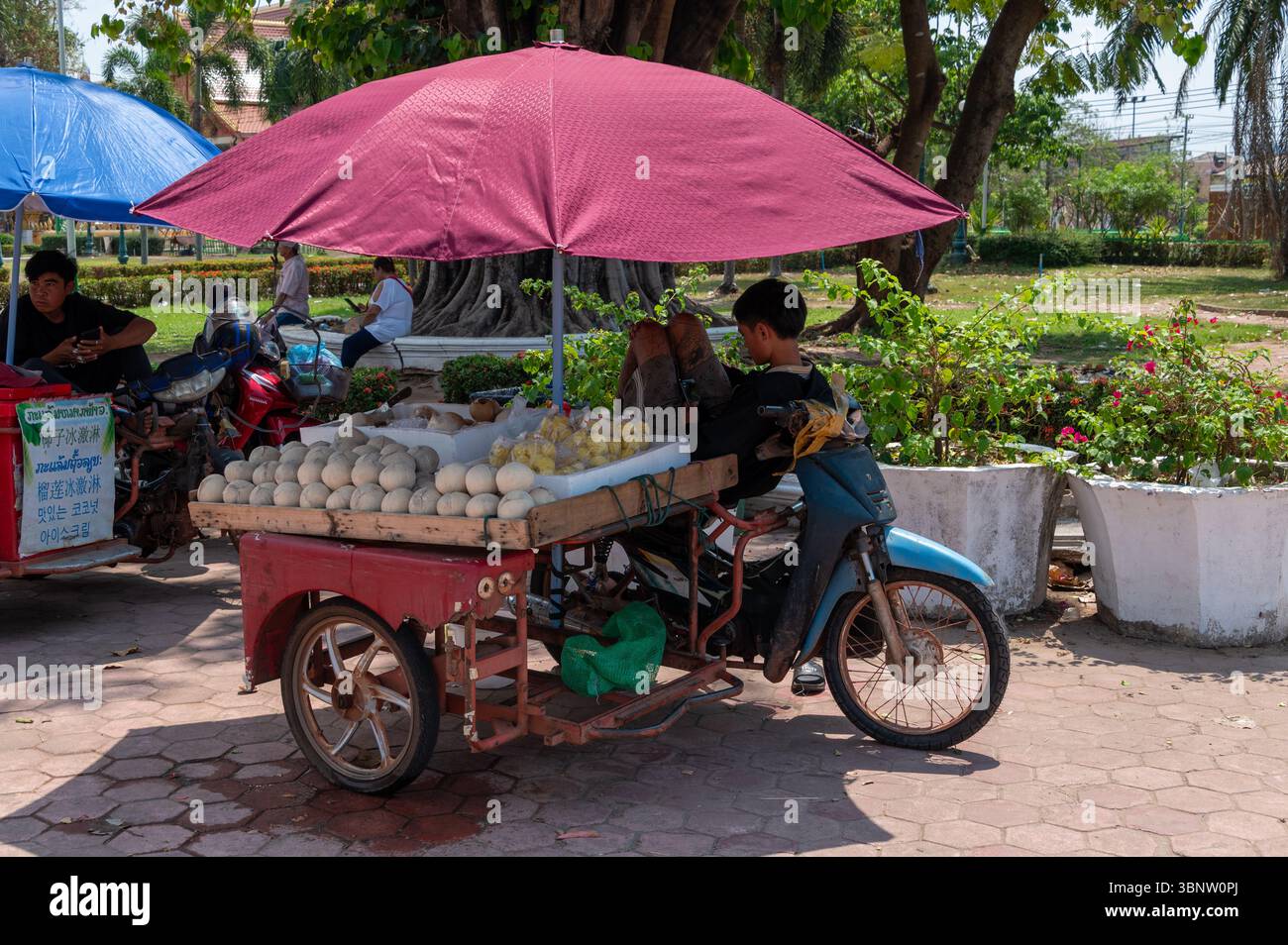 Un commerciante di frutta addormentato sul suo trishaw motorizzato Fruit barrow al Pha That Luang a Vientiane, Laos, sud-est asiatico, Foto Stock