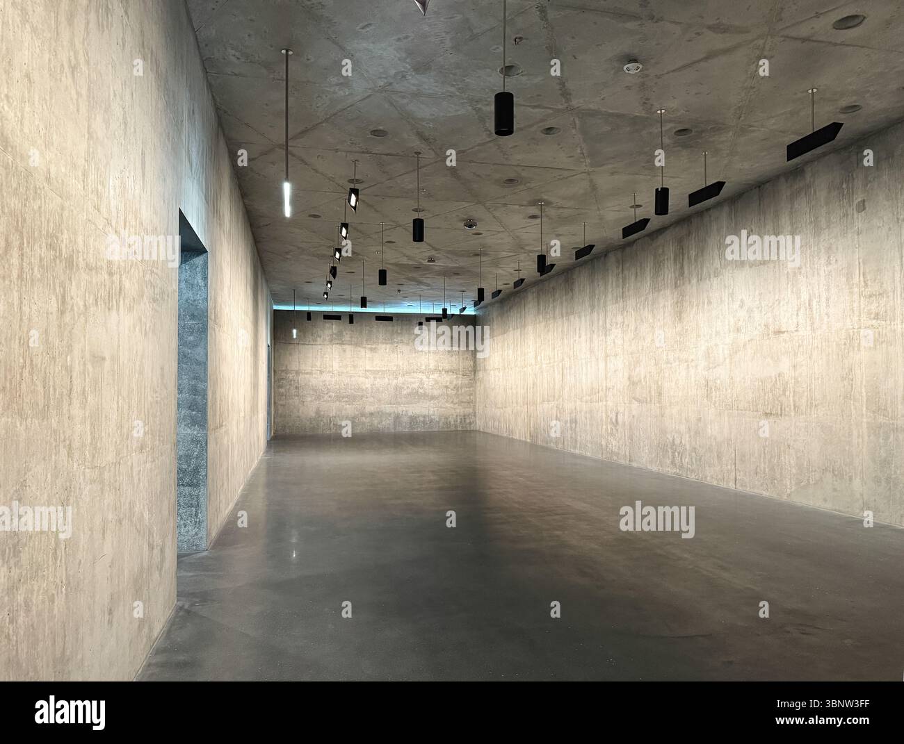 GALLERIE DAVID GEFFEN, LOS ANGELES COUNTY MUSEUM OF ART (LACMA) Foto Stock