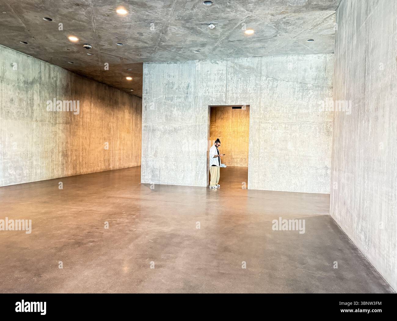 GALLERIE DAVID GEFFEN, LOS ANGELES COUNTY MUSEUM OF ART (LACMA) Foto Stock