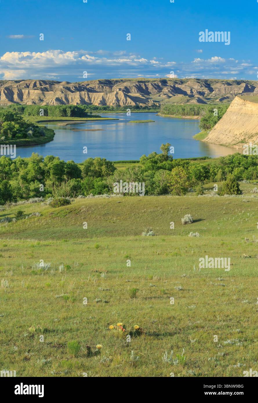 valle del fiume missouri e calanchi vicino a bainville, montana Foto Stock