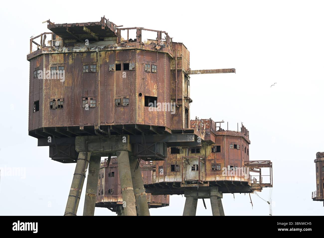 Red Sands Forts Estuary Tamigi in piedi eruttanti dal fiume Tamigi i Red Sands Forts sono una serie di sette torri costruite durante la seconda guerra mondiale come difese antiaeree per proteggere la City di Londra dagli attacchi nemici. Situato nell'estuario del Tamigi tra Essex e Kent. I soldati di stanza lì abbatterono un totale di 22 aerei tedeschi e 30 doodlebugs. Nel 1964 i forti servirono a un nuovo scopo. Urlando Lord Sutch ha creato la radio Pirate radio Station tale. I forti furono poi utilizzati da radio City fino al 1967, quando furono chiusi dalla Marine Broadcasting Offenses Act. La f Foto Stock