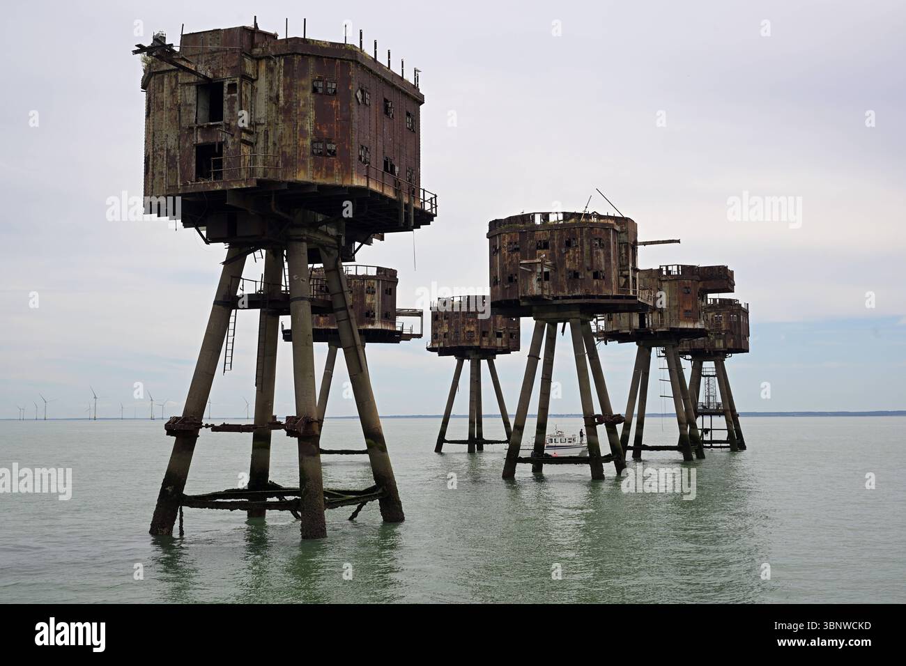Red Sands Forts Estuary Tamigi in piedi eruttanti dal fiume Tamigi i Red Sands Forts sono una serie di sette torri costruite durante la seconda guerra mondiale come difese antiaeree per proteggere la City di Londra dagli attacchi nemici. Situato nell'estuario del Tamigi tra Essex e Kent. I soldati di stanza lì abbatterono un totale di 22 aerei tedeschi e 30 doodlebugs. Nel 1964 i forti servirono a un nuovo scopo. Urlando Lord Sutch ha creato la radio Pirate radio Station tale. I forti furono poi utilizzati da radio City fino al 1967, quando furono chiusi dalla Marine Broadcasting Offenses Act. La f Foto Stock