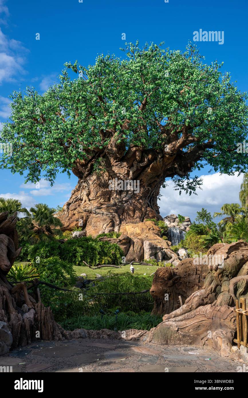 L'albero della vita è una scultura di 145 piedi (44 m) di un albero di baobab al Disney's Animal Kingdom, Walt Disney World Resort. Con oltre 8.000 rami di ver Foto Stock