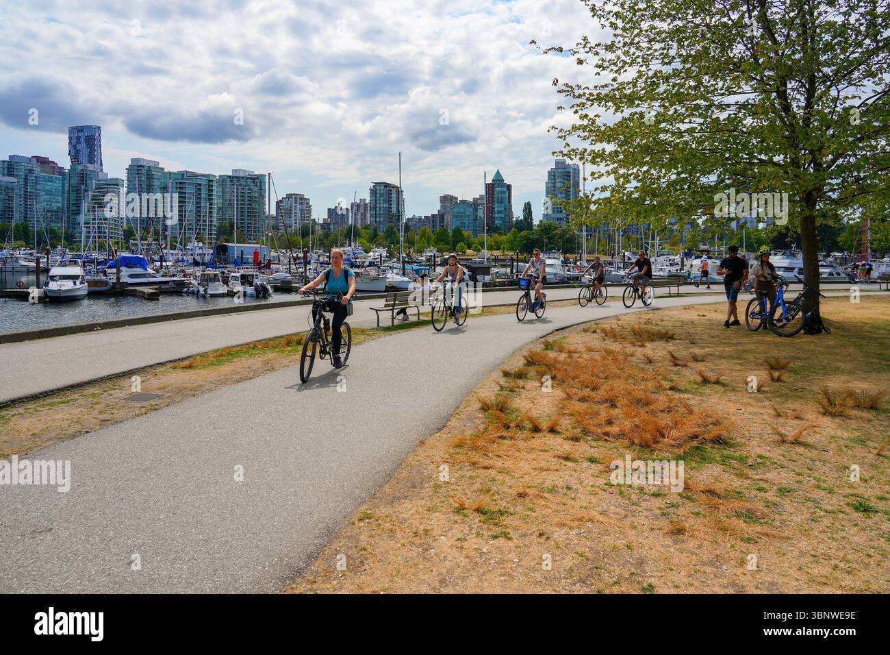 Ciclisti sul Vancouver Seawall a Stanley Park, British Columbia, Canada Foto Stock
