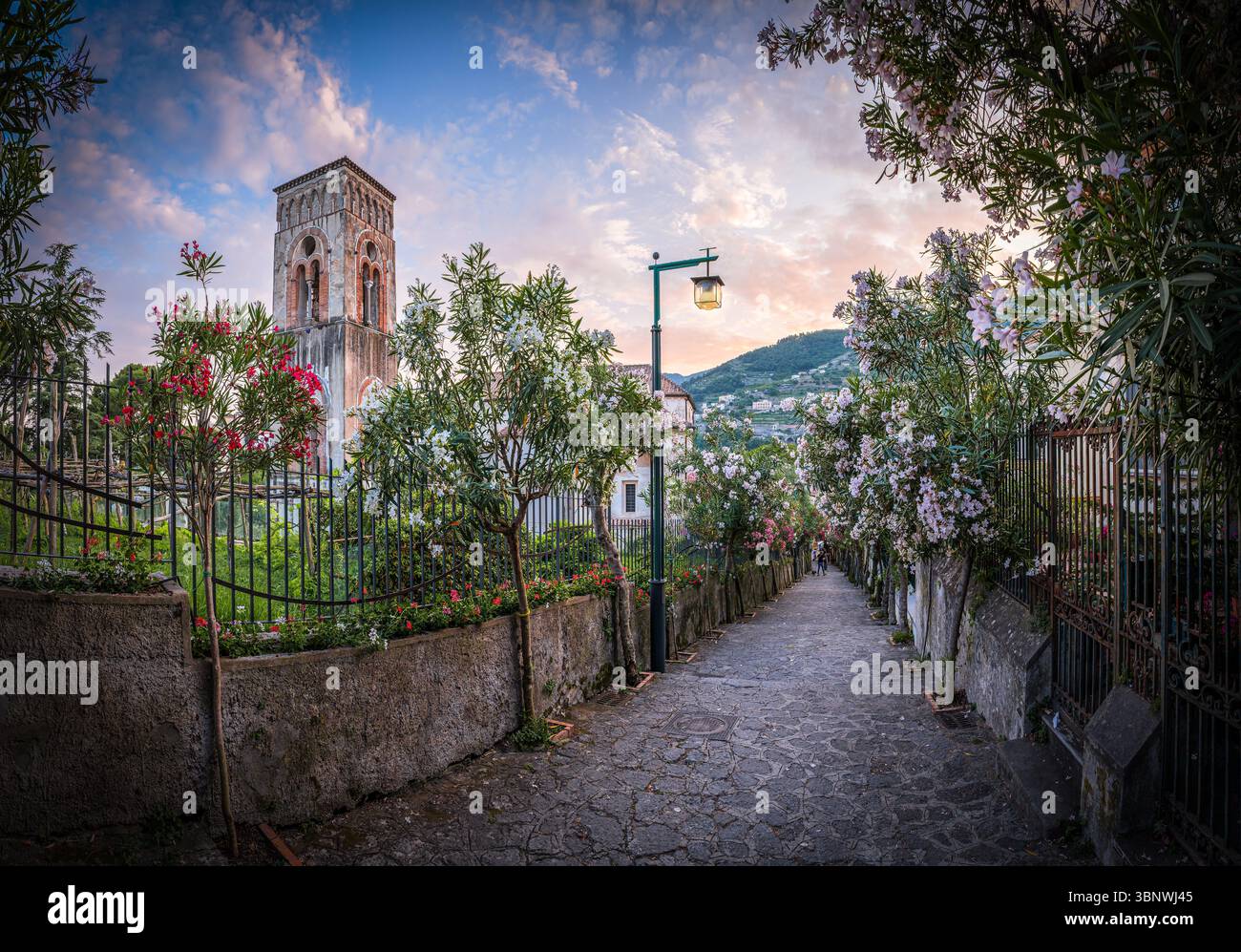 Un sentiero acciottolato a Ravello, Costiera Amalfitana, Italia, al tramonto, incorniciato da oleandri e da una torre medievale della chiesa. Foto Stock