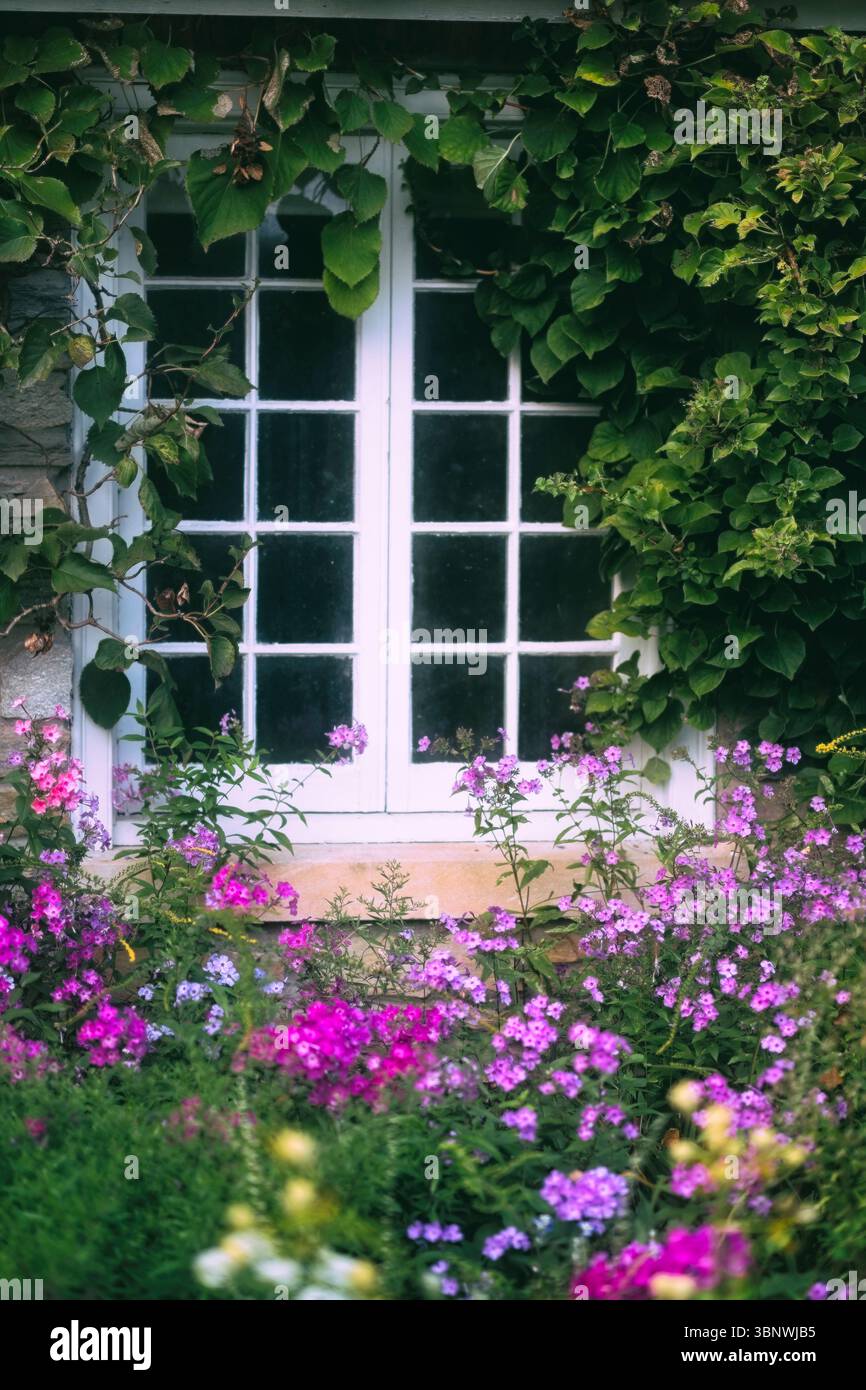 Vista ravvicinata della finestra di un cottage circondato da edera e fiori, New Jersey, Stati Uniti Foto Stock