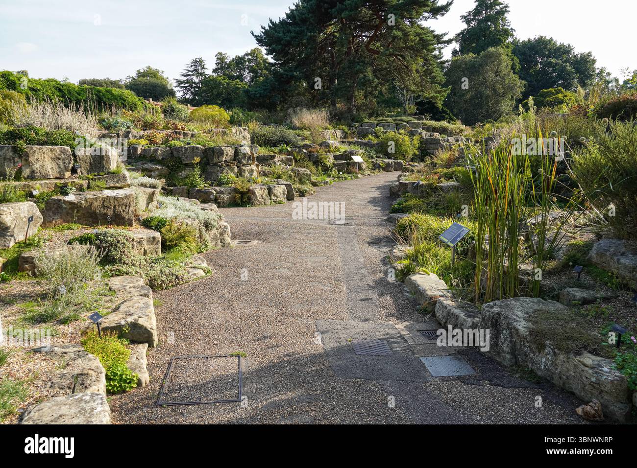 The Rock Garden at the Kew Gardens, Londra Inghilterra Regno Unito Foto Stock