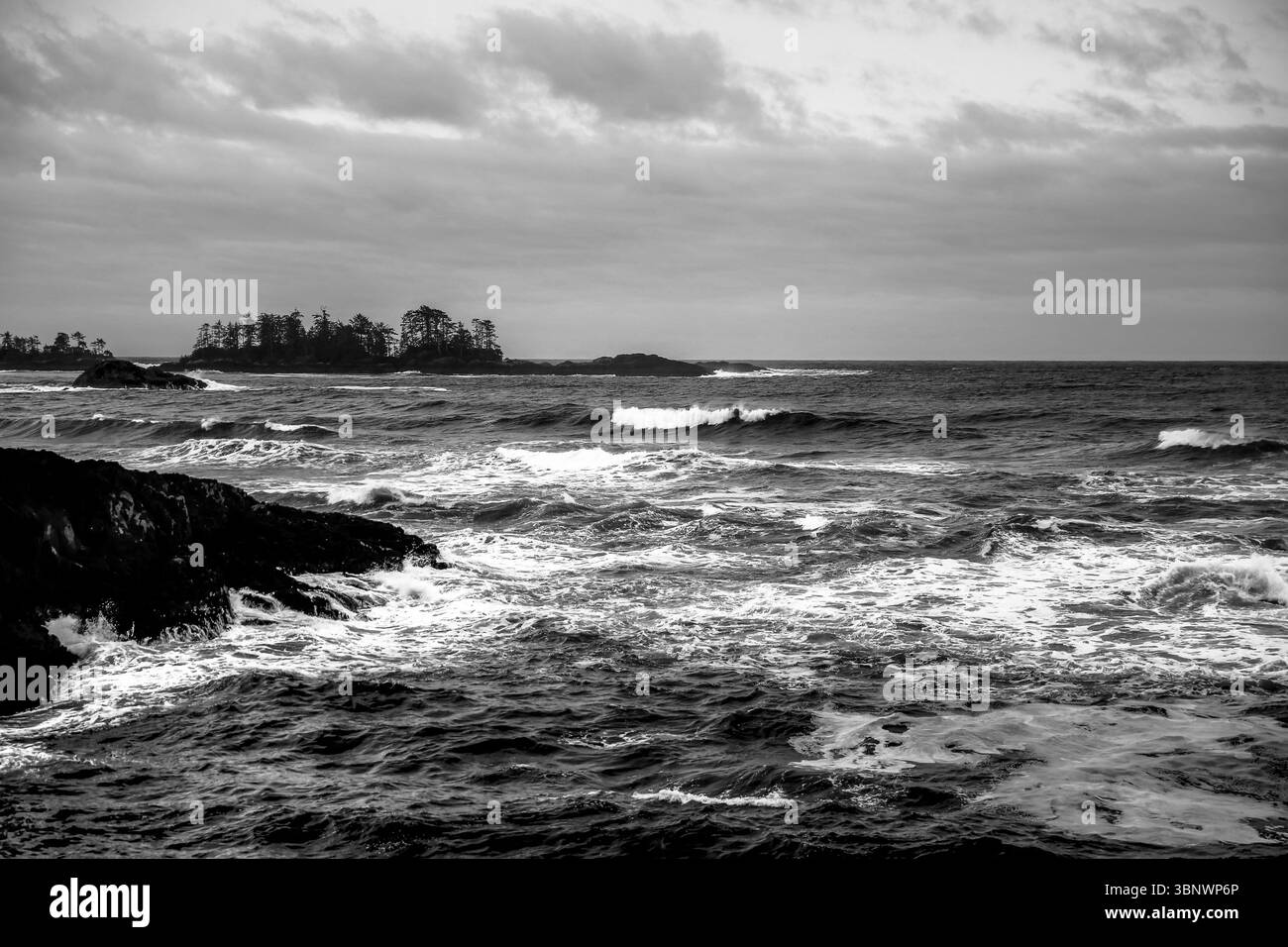 Paesaggio lungo la costa di Tofino sulla costa occidentale dell'isola di Vancouver durante la stagione delle tempeste Foto Stock