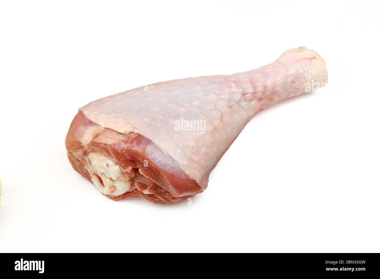 Zampa di tacchino grezza isolata su sfondo bianco Foto Stock