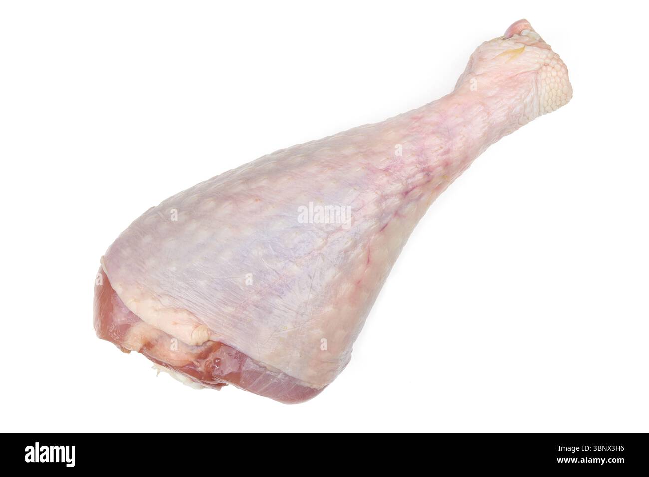 Zampa di tacchino grezza isolata su sfondo bianco Foto Stock